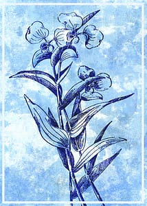 Une tige avec des fleurs bleues.