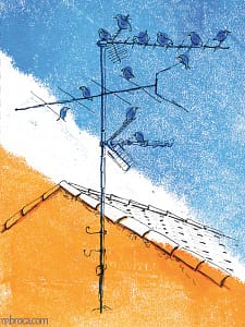 œuvres des oiseaux sur une antenne. Le toit d'une maison