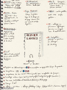 Une page de carnet, sketchnoting, sur le livre d'Olivier Landes