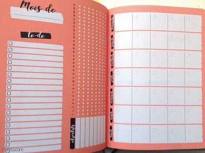 Une double page pour organiser son mois et avoir de la motivation.